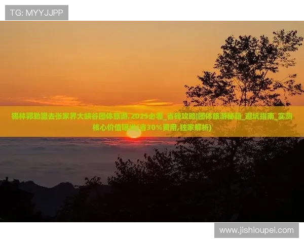 沙巴买球站彩票数字高频玩法防骗避坑指南